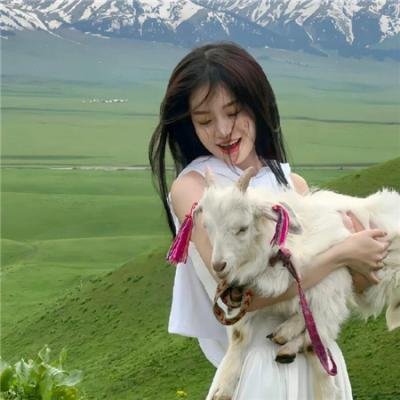 无间道第一季