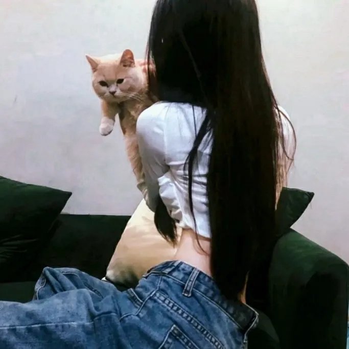 此生皆欢喜